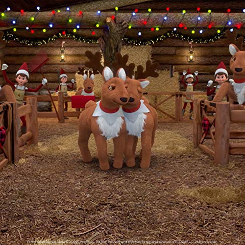 Elf Pets: Santa's Reindeer Rescue