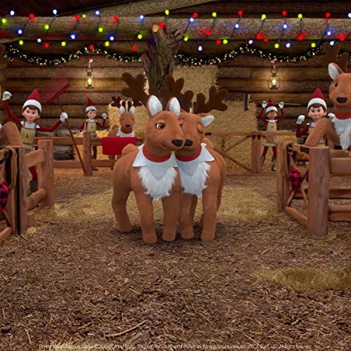 Elf Pets: Santa's Reindeer Rescue