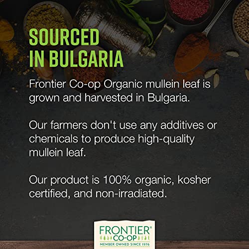 Frontier Co-op Dried Mullein Leaf, Cut & Sifted, Certified Kosher | 16 oz. Bulk Bag | Urtica dioica L. | Mullein Tea Loose Leaf to Make Tea Bags, Mullein Leaf Tea, Mullein Gummies, Extract, Capsules