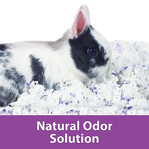 Kaytee Clean & Cozy Lavender Bedding For Pet Guinea Pigs, Rabbits, Hamsters, Gerbils, and Chinchillas, 49.2 Liters