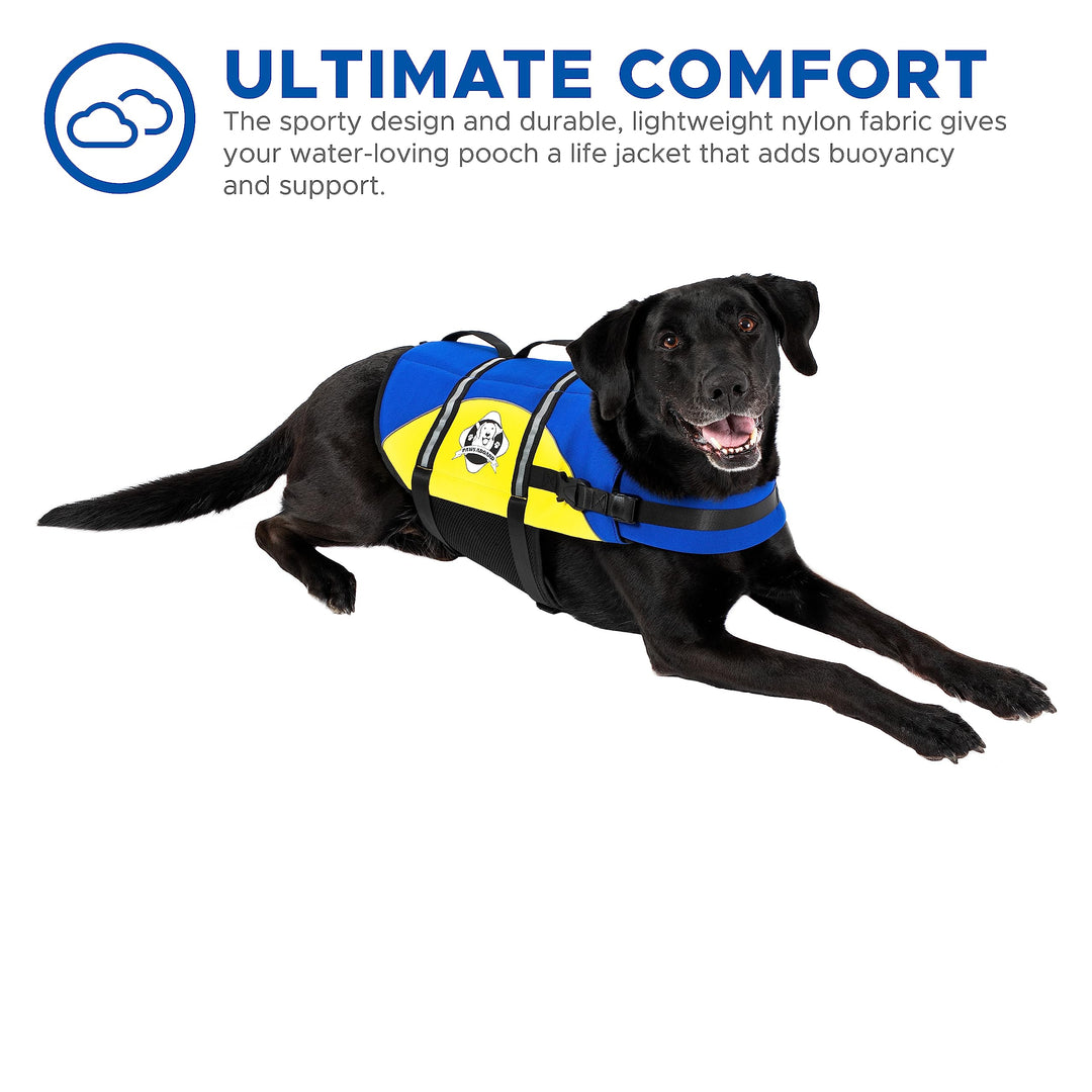 Paws Aboard Dog Life Jacket - Keep Your Canine Safe with a Neoprene Life Vest - Designer Life Jackets - Perfect for Swimming and Boating - Blue and Yellow, Large